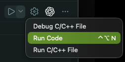 vscode_execute-button.png