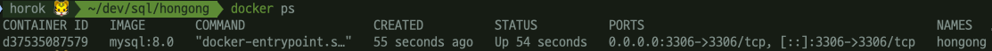 docker_container_check.png